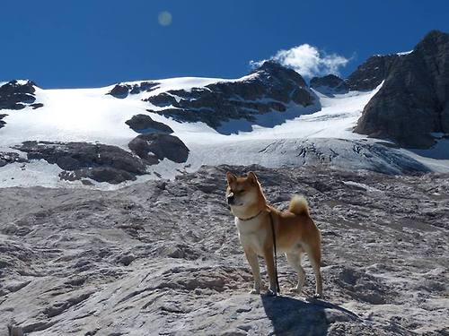 下载开云-“逆转追击！比赛尾声两队拼到最后一棒，精彩纷呈”，逆转的比赛