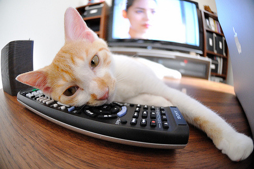 开云APP-《跨界合作：电竞综艺携手娱乐界多方共赢》，跨界节目有哪些