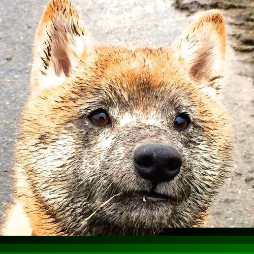 开云体育入口-普拉提成为都市女性健身新宠,市场潜力巨大,普拉提女生