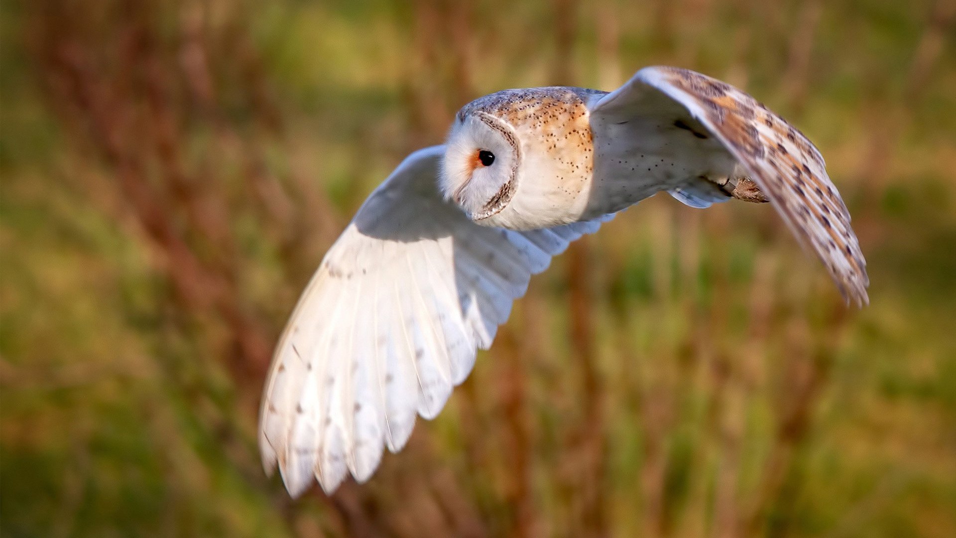 kaiyun sports-赛季突破：球员们的进步故事大揭秘，赛季球员是什么