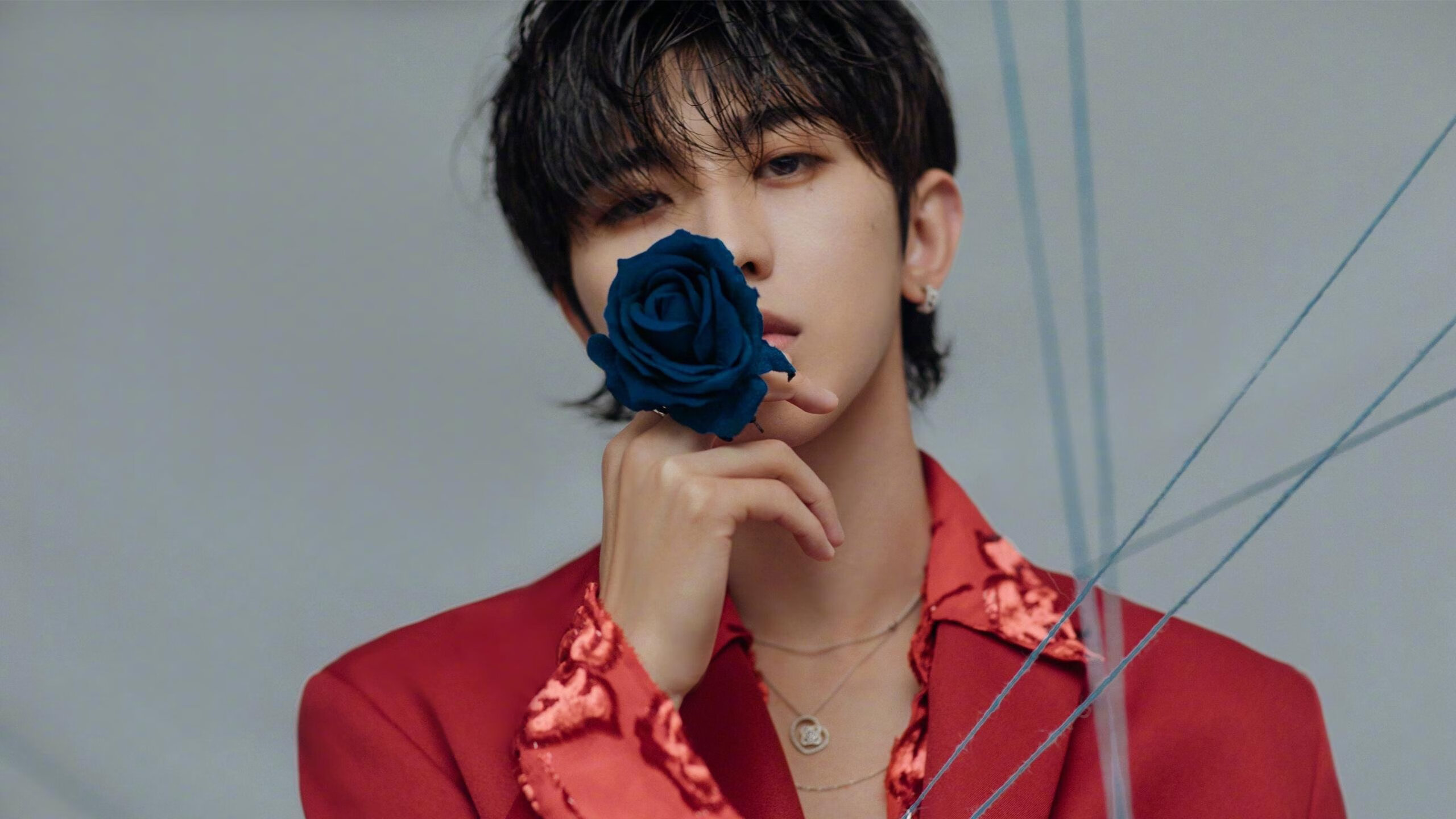 kaiyun-千叶喷射机主场连胜不断，日本千叶喷气机篮球队