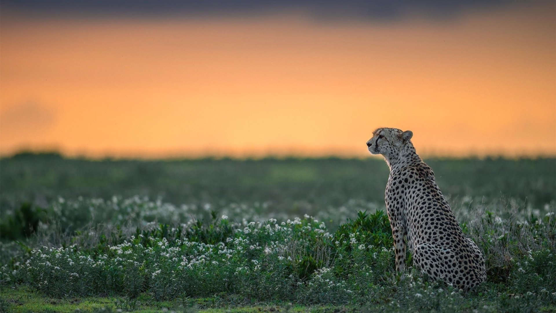 开云投注-女足世界杯国际交流项目启动,女足世界杯资格赛