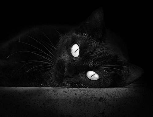 开云APP下载-战队实力排名最新动态,战队排行