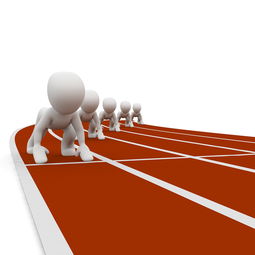 开云娱乐app安全登录-中国篮球职业联赛赛事组织与风险管理研究，中国篮球协会竞赛管理办法