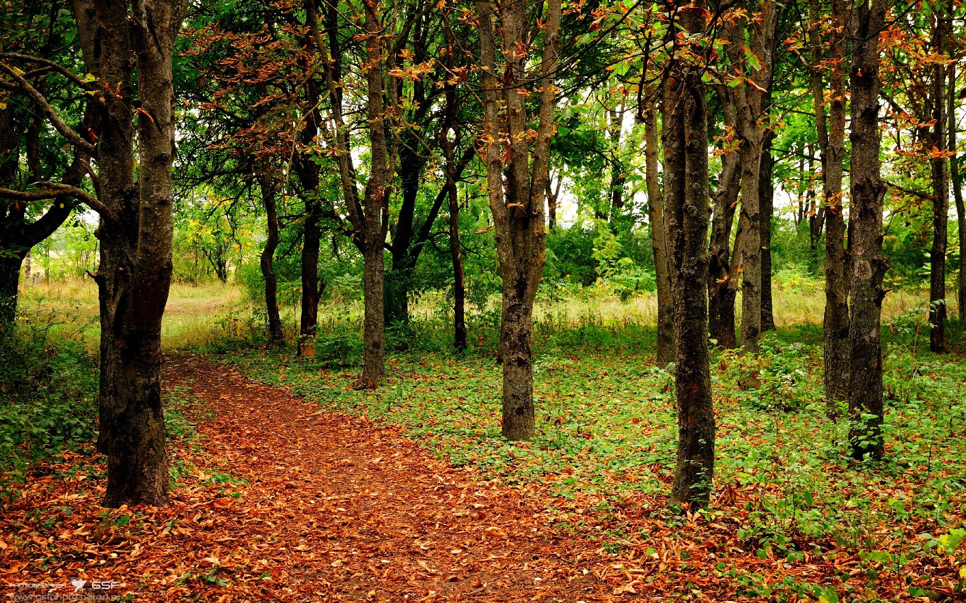 开云体育app安全下载-体育新闻中心协同高校推进体育新闻实训基地建设,体育学院新闻稿