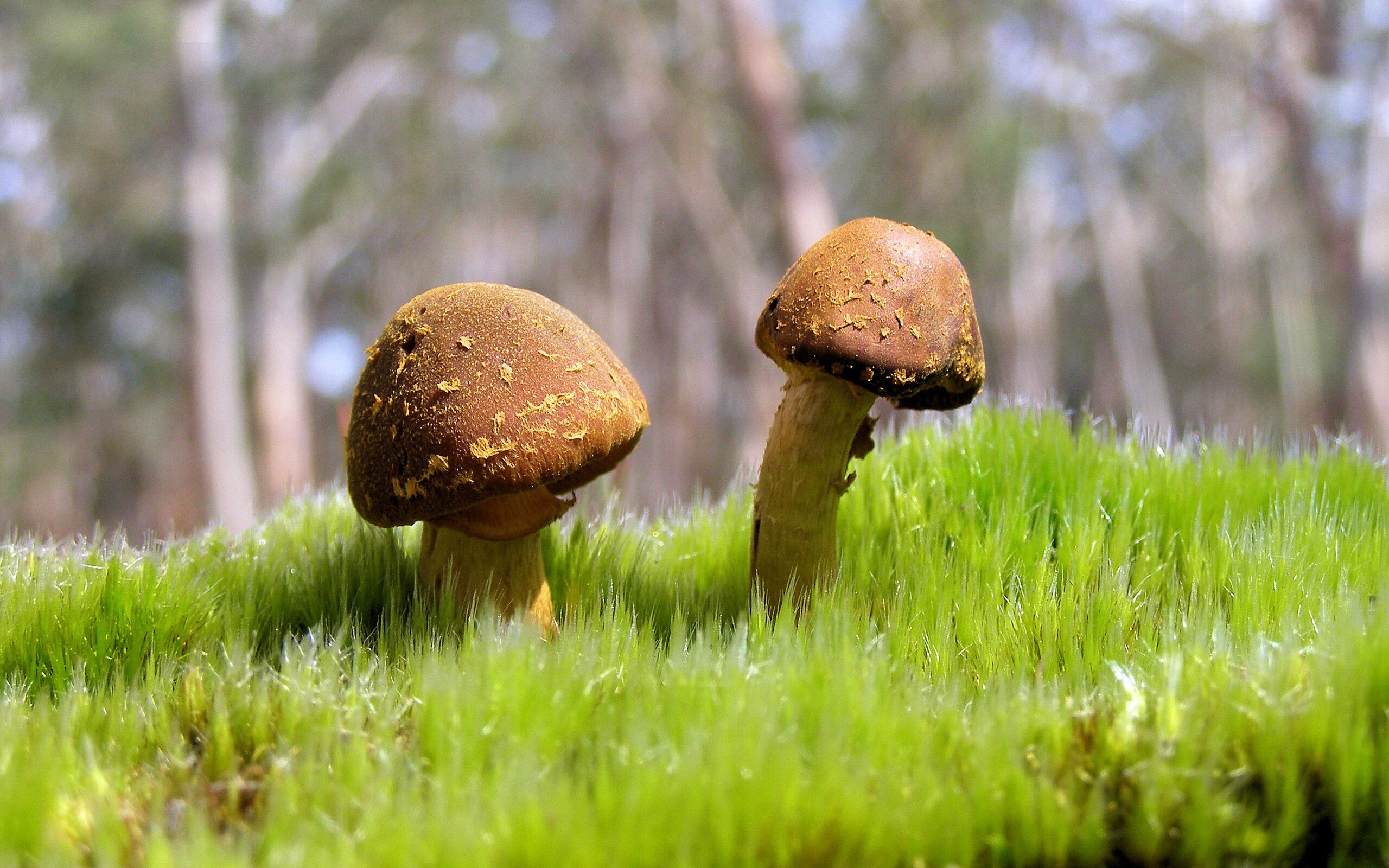 开云体育下载网址-国家队对外战绩波动是否源于训练节奏不一,国家队深度解析