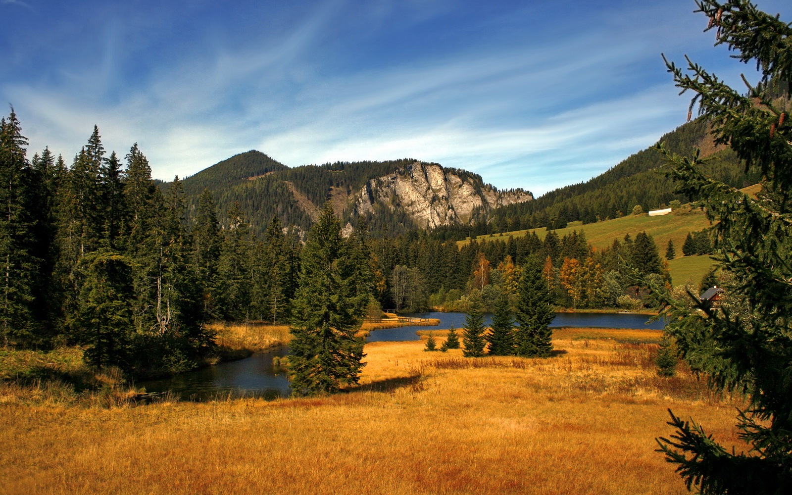 开云体育下载入口-埃及乒乓队未来展望:逐步接近国际顶级水平,埃及乒乓球名将